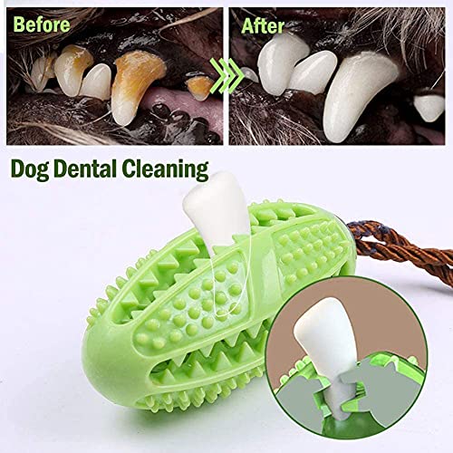 Bibykicn Juguete Masticable Interactivo para Perros, Pelota de Juguete con Ventosas, Duraderos Juguete de Mordida Multifunción Limpieza de Dientes para Cachorros Perros Grandes (B: Verde)