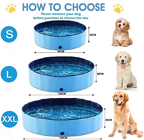 BingoPaw Piscina Perros 120, Piscina para Perros Medianos Plegable Bañera Infantil PVC Antideslizante y Resistente al Desgaste con válvura para Interior Exterior 120x30cm Azul