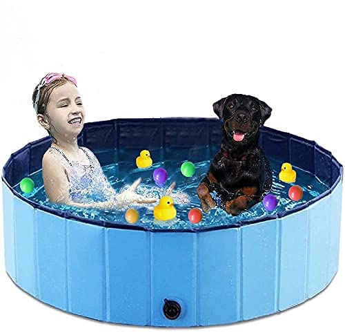 BingoPaw Piscina Perros 120, Piscina para Perros Medianos Plegable Bañera Infantil PVC Antideslizante y Resistente al Desgaste con válvura para Interior Exterior 120x30cm Azul