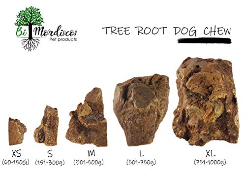 Bio Mordiscos Mordedor de raíz de Brezo para Perros – 100% Natural (S 151-300g)