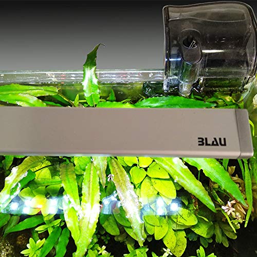 Blau Aquaristic Pico Lumina 9 Freshwater 1 Unidad 390 g