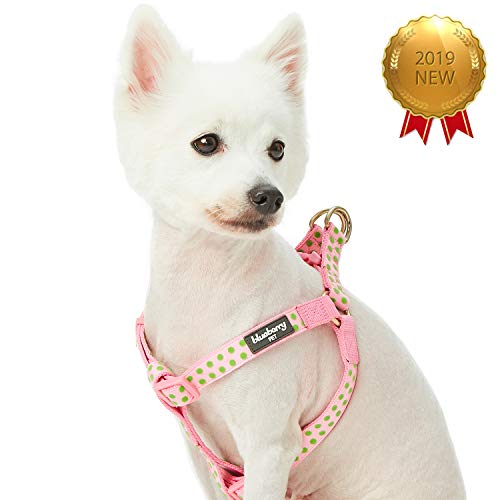 Blueberry Pet Arnés de perro aterciopelado con lunares en color rosa bebé, contorno de pecho de 51 cm a 66 cm, mediano, arnés ajustable para perros