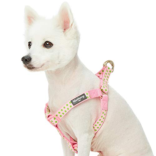 Blueberry Pet Arnés de perro aterciopelado con lunares en color rosa bebé, contorno de pecho de 51 cm a 66 cm, mediano, arnés ajustable para perros