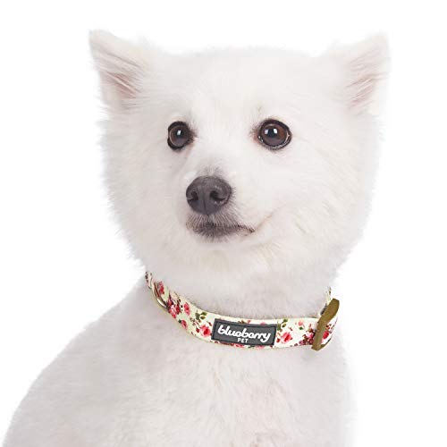 Blueberry Pet Correa de perro ajustable inspirado en el aroma de primavera Medio (Neck 14.5 "-20") Marfil