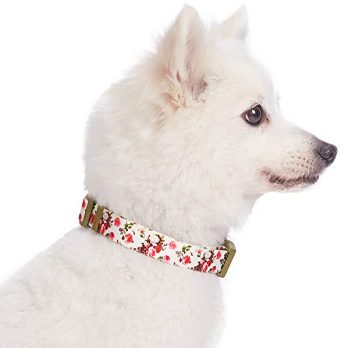 Blueberry Pet Correa de perro ajustable inspirado en el aroma de primavera Medio (Neck 14.5 "-20") Marfil