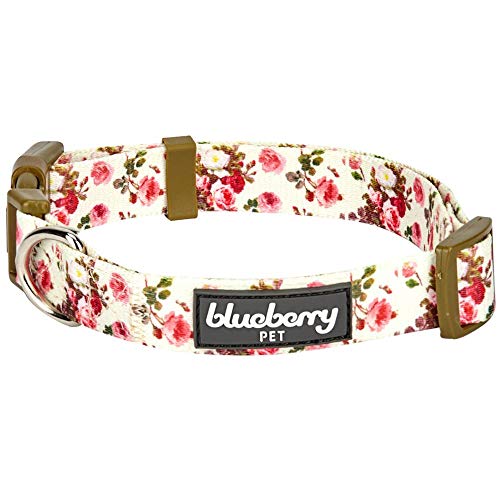 Blueberry Pet Correa de perro ajustable inspirado en el aroma de primavera Medio (Neck 14.5 "-20") Marfil