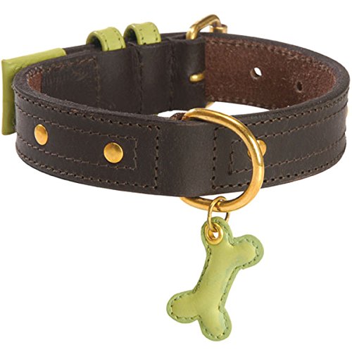 Bobby Urban Dog Collar, Talla 45, Color Verde