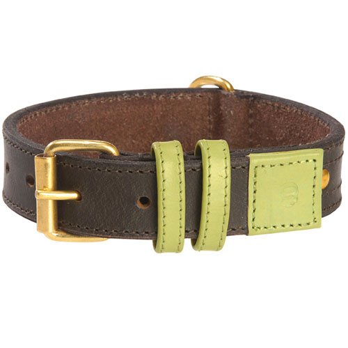 Bobby Urban Dog Collar, Talla 45, Color Verde