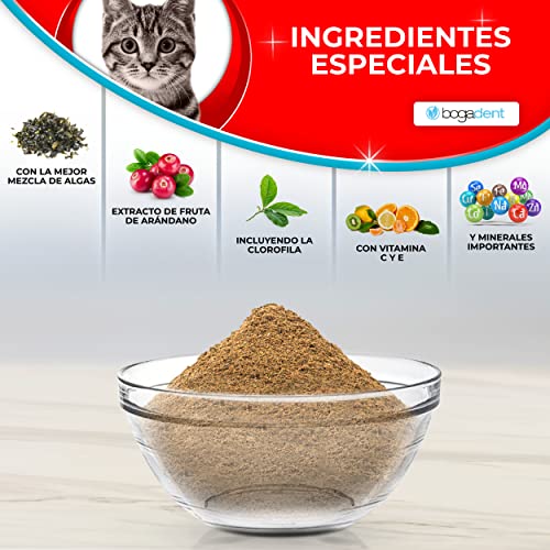 Bogadent Plaque-Stop - Polvo para Cuidado Dental Gatos, para Eliminación de Sarro & contra Mal Aliento, Limpia e Cuida Dientes, Higiene Bucal Gato, Limpieza Dental Gato, 70g