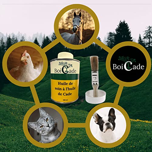 BOICADE - Aceite de cuidado con aceite de cura, 500 ml + pincel para gallina, caballos, gatos, perros y patas. Cuidado de pies y sabotes. Tierra de diatomea no calcinada y grado alimentario.