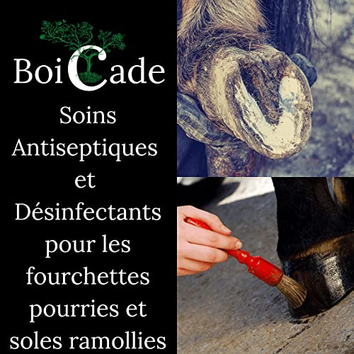 BOICADE - Aceite de cuidado con aceite de cura, 500 ml + pincel para gallina, caballos, gatos, perros y patas. Cuidado de pies y sabotes. Tierra de diatomea no calcinada y grado alimentario.