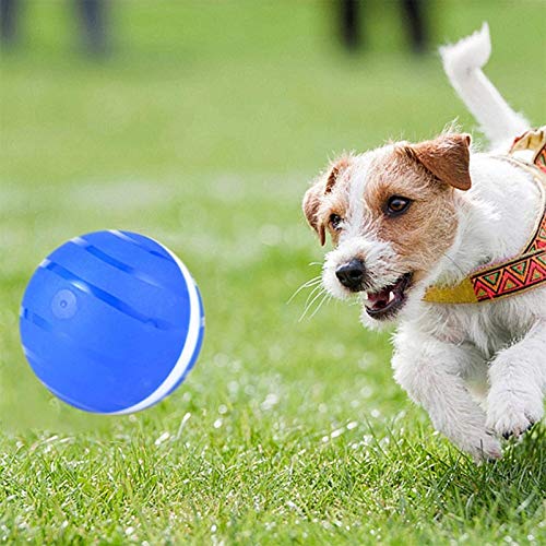 Bola Malvada - Juguete De Perros Interactivos - Bola De Mascotas Eléctrica For Juguete De Gato Inteligente USB De La Pelota De Flash (Color : Azul)