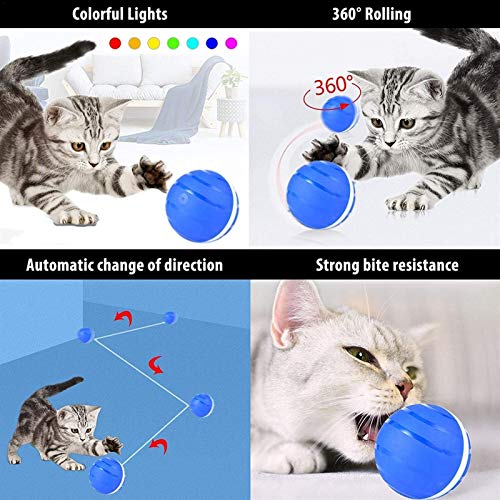 Bola Malvada - Juguete De Perros Interactivos - Bola De Mascotas Eléctrica For Juguete De Gato Inteligente USB De La Pelota De Flash (Color : Azul)