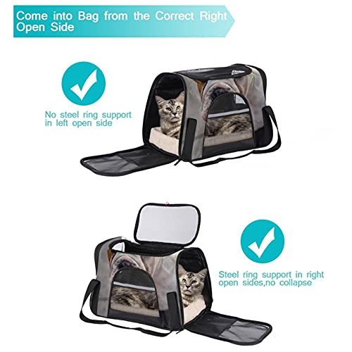 Bolsa de Transporte para Mascotas Bulldog inglés Transportadora para Gato Bolsa de Viaje para Mascotas Plegable de Transporte en Tren Auto Avión 43x26x30 cm