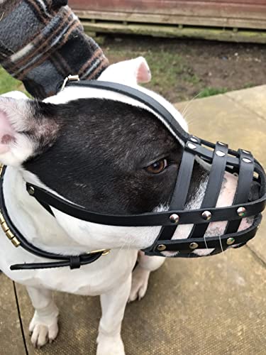 Bozal de perro de cuero genuino ligero para Staffordshire Bull Terrier Staffy, Staffie y otros (cuero marrón, AS0)