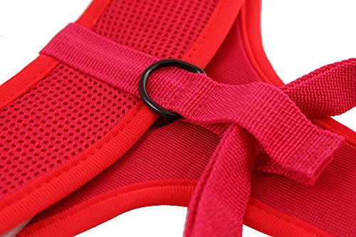 BPS® Arnés para Perros Mascotas Callar para Perros Mascotas 6 Tamaños para Elegir para Perro pequeño Mediano y Grande (Rojo, XL) BPS-3866R