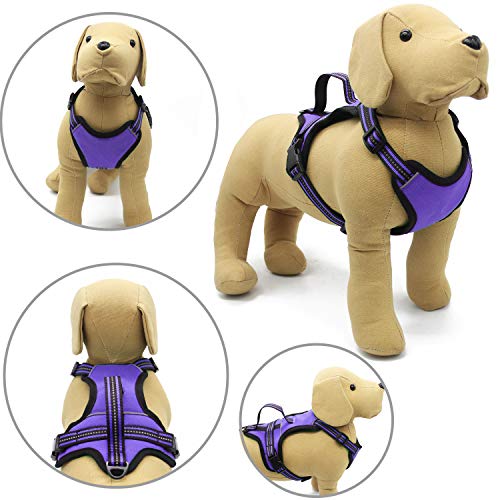 BPS Arnés para Perros Mascotas Collar para Perros Mascotas Respirable con 3M Reflectante 5 Tamaños Elegir para Perro pequeño Mediano y Grande (XL, Morado) BPS-3910MO