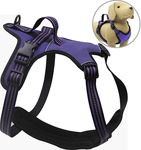 BPS Arnés para Perros Mascotas Collar para Perros Mascotas Respirable con 3M Reflectante 5 Tamaños Elegir para Perro pequeño Mediano y Grande (XL, Morado) BPS-3910MO