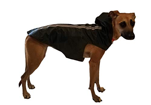 Brissa España. Chubasquero Perro Grande Mediano (Longitud Cuerpo 60 cm). Impermeable Perro con Capucha y Forro de Quita y pon de Borreguillo. Hecho en España. (Verde Caza)