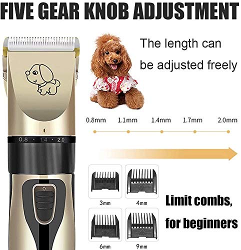 Broche del pelo Clippers perro, de bajo ruido Peluquería Canina Clippers inalámbrico Pet Hair Trimmer, Herramienta de preparación del animal doméstico recargable, kit de aseo Profesional perro, el mej