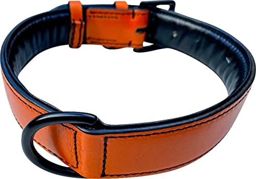 Brute Strength - Lujoso collar de cuero para perros - Naranja - L - (46 - 53 cm) x 3,5cm