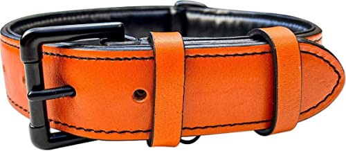 Brute Strength - Lujoso collar de cuero para perros - Naranja - L - (46 - 53 cm) x 3,5cm