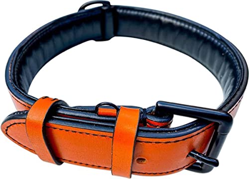 Brute Strength - Lujoso collar de cuero para perros - Naranja - L - (46 - 53 cm) x 3,5cm