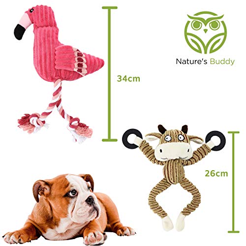 Buddy Wild Juguetes para Perros – Pack de Peluches para Perros Suaves y con Sonido – Pack de 5 – Juguetes Mordedores de Perro Interactivos y Duraderos – Juguetes de Cachorros y Perros Pequeños