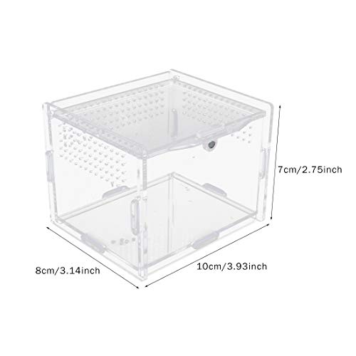 Caja de alimentación de reptiles de acrílico, 10 x 8 x 7 cm, caja de cría de vidrio transparente, terrario con 2 pinzas rectas y curvadas para mascotas insectos arañas grillos caracoles