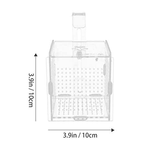 Caja de Reproducción de Peces Incubadora de Tanques: Caja de Aislamiento de Criadero de Acuario para Fry Recién Nacido Camarón Guppy Guppy Pez Peces Agresivos 10X10x10