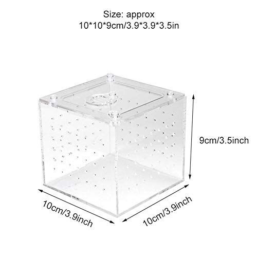 Caja transparente de visualización de insectos reptiles, almacenamiento de alimentos vivos Caja de cría de reptiles acrílicos para grillos araña Caracoles Cangrejos ermitaños Tarántulas Gecos 3.9x3.9x