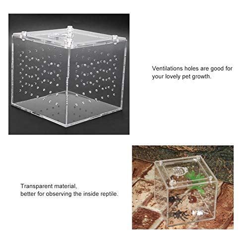 Caja transparente de visualización de insectos reptiles, almacenamiento de alimentos vivos Caja de cría de reptiles acrílicos para grillos araña Caracoles Cangrejos ermitaños Tarántulas Gecos 3.9x3.9x