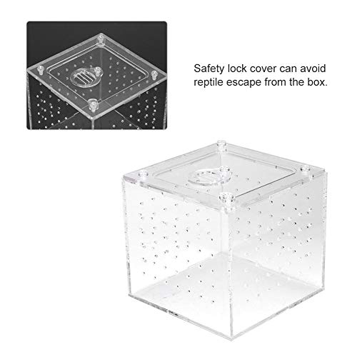 Caja transparente de visualización de insectos reptiles, almacenamiento de alimentos vivos Caja de cría de reptiles acrílicos para grillos araña Caracoles Cangrejos ermitaños Tarántulas Gecos 3.9x3.9x