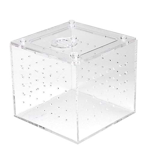 Caja transparente de visualización de insectos reptiles, almacenamiento de alimentos vivos Caja de cría de reptiles acrílicos para grillos araña Caracoles Cangrejos ermitaños Tarántulas Gecos 3.9x3.9x