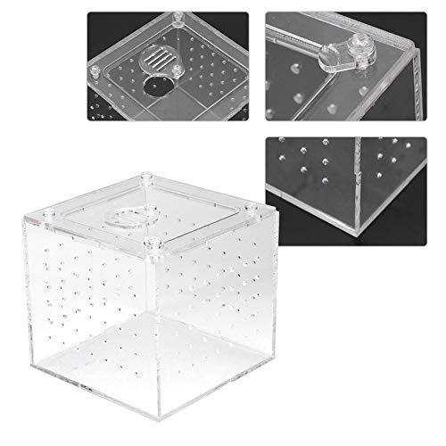 Caja transparente de visualización de insectos reptiles, almacenamiento de alimentos vivos Caja de cría de reptiles acrílicos para grillos araña Caracoles Cangrejos ermitaños Tarántulas Gecos 3.9x3.9x