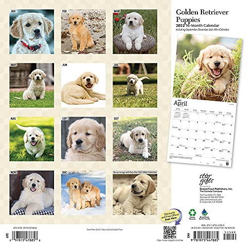 Calendario de pared cuadrado mensual de 2022 de StarGifts, con cubierta estampada y pegatinas de animales de StarGifts, razas de perros y cachorros