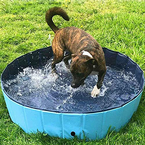 Cama Plegable para casa de natación para Perros de 80 * 20 cm, Piscina de Verano, plástico Duro, Plegable, Plegable, para Perros, Piscina para Mascotas, Perro para Mascotas Plegable