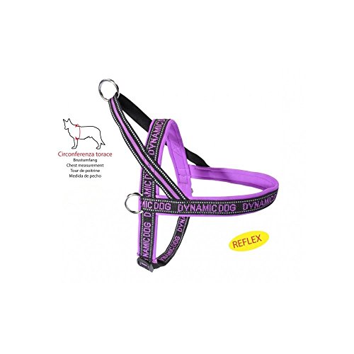 Camon Dorsal de Neopreno Dynamic Morado Talla Pecho 45 cm para Perros