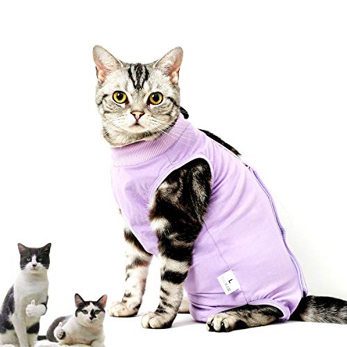 CandyCare Mascotas Traje de recuperación quirúrgica para Gatos, Destete Ropa Chaleco pequeño Mediano Grande Gatos, Anti lamida con Sonaja y DIY Anti-Lost Número Celular Morado S