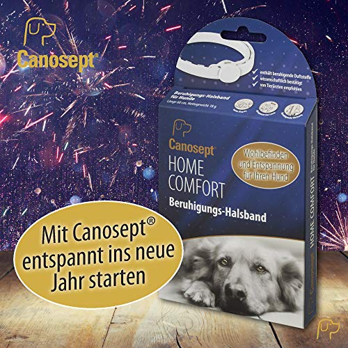 Canosept Home Comfort Collar Calmante 1 Pieza - El Collar para Perros con Valeriana Y Lavanda - Antiestrés para Perros - Calm Perros - Favorece El Bienestar Y La Relajación De Los Perros