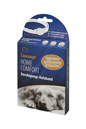 Canosept Home Comfort Collar Calmante 1 Pieza - El Collar para Perros con Valeriana Y Lavanda - Antiestrés para Perros - Calm Perros - Favorece El Bienestar Y La Relajación De Los Perros