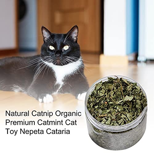 Catnip orgánico natural 40g - Menta de gato premium - Hierba de gato fuerte grado A, fina y libre de impurezas, sin tallos Ejercicio de recarga, juguete natural para gatos