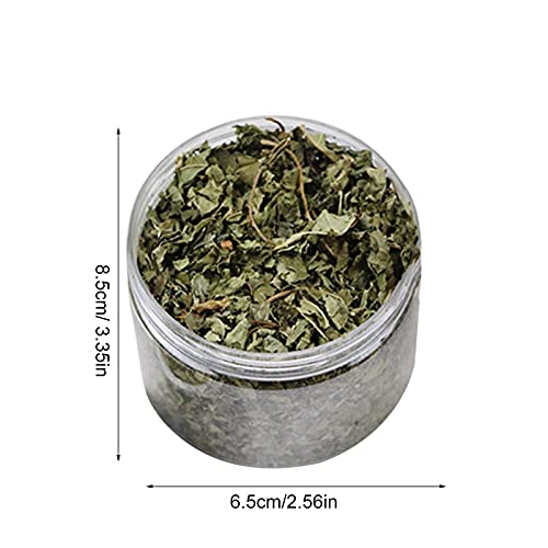 Catnip orgánico natural 40g - Menta de gato premium - Hierba de gato fuerte grado A, fina y libre de impurezas, sin tallos Ejercicio de recarga, juguete natural para gatos