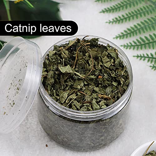 Catnip orgánico natural 40g - Menta de gato premium - Hierba de gato fuerte grado A, fina y libre de impurezas, sin tallos Ejercicio de recarga, juguete natural para gatos