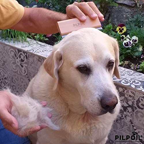 Cepillo para pelos de perro, gato, caballo, conejo, antimudo, elimina el 95 % bajo el pelo muerto, peine mágico y antipelos, herramienta de aseo profesional de madera natural y ergonómica.