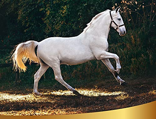 Champú Blanqueador Natural, 500ml - Restaura el color natural de melenas, colas y melenas - Respeta el PH fisiológico de la piel - para caballos claros, blancos o grises, Linea 101