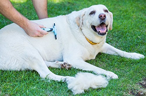 Chirpy Pets - Cepillo para perros y gatos para desprendimiento, la mejor herramienta de aseo de pelo largo y corto, reduce el pelo de perros y gatos en más del 90%