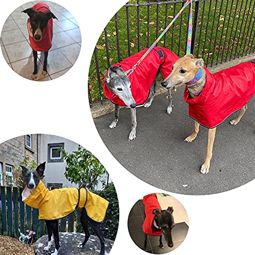 Chubasquero Ligero para Perros,con Correas Reflectantes y Agujero para el arnés, Pull-Over/Chaqueta Galgos, Lurcher y Whippet,para Perros Medianos y Grandes-Rosa-L