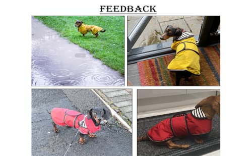 Chubasquero para perro Morezi, cortaviento e impermeable, con tiras reflectantes y cinturón ajustable, apto para perros salchicha-amarillo-L