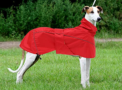 Chubasquero para Perros MOREZI, Impermeable/Impermeable, con cordón, cinturón y Bordes Reflectantes, Apto para Galgos y Perros de tamaño Mediano a Grande-Rojo-XL